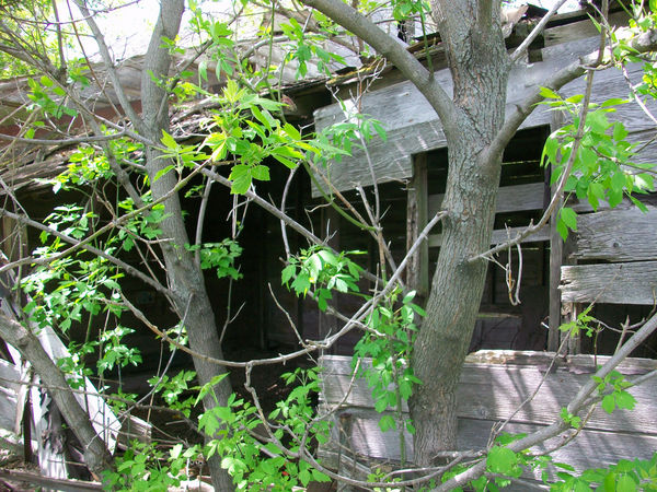 abandonedfarm abandonedfarm1 An Undiscovered Country
