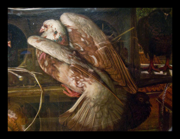 PigeonbyHunt Ode To The Pigeon