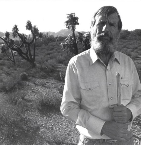 Edward abbey essays
