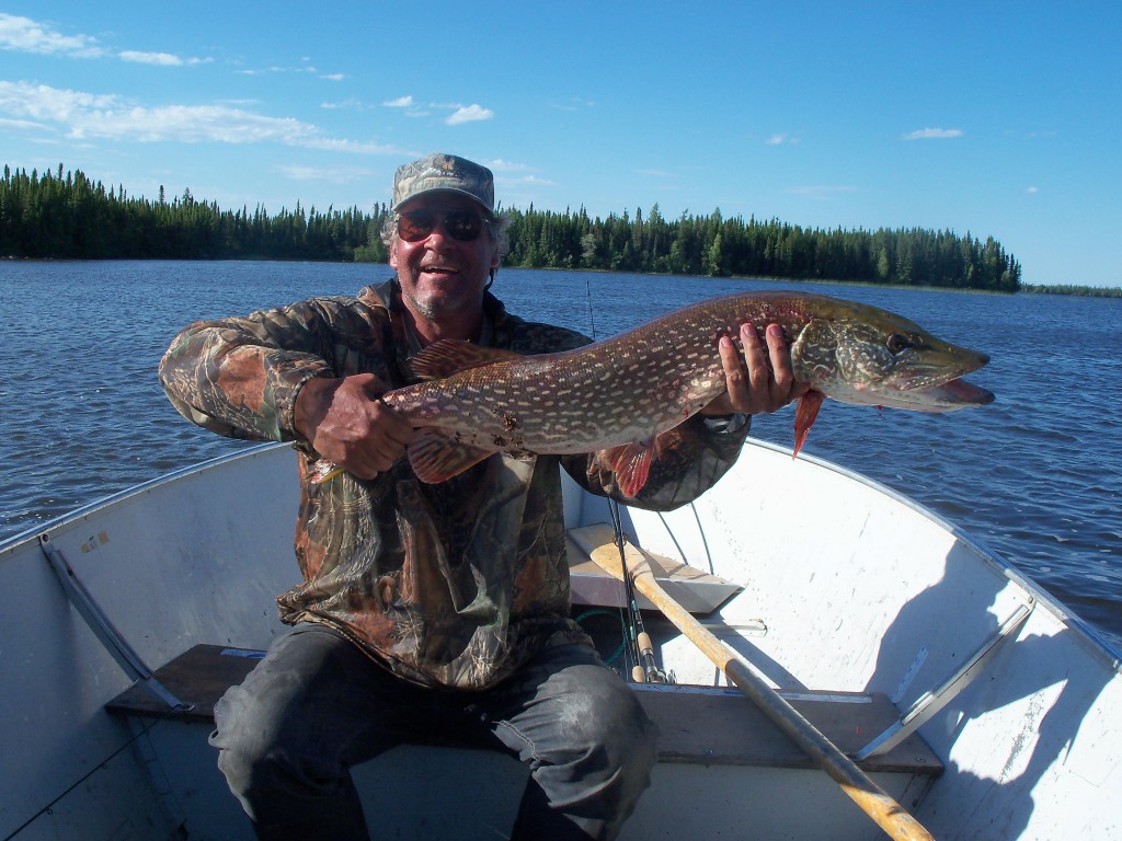 Northern Pike, Courtesy Silsby Lake Lodge Mikes Best Pike 1024x768 High, Long, and Lonesome
