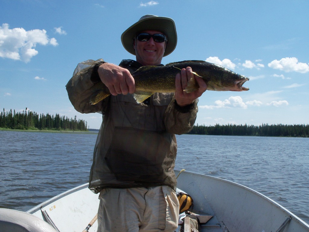 A Fat Walleye From High Hill Lake Silsby Lake 2013 095 1024x768 High, Long, and Lonesome